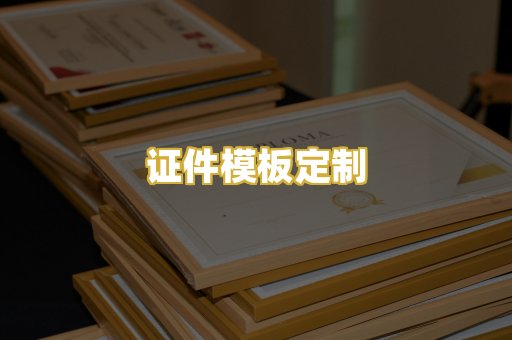 证件模板定制